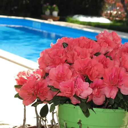 Apartmán Exanthia Villas *