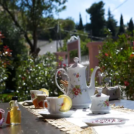 Exanthia Villas Appartement Exanthia